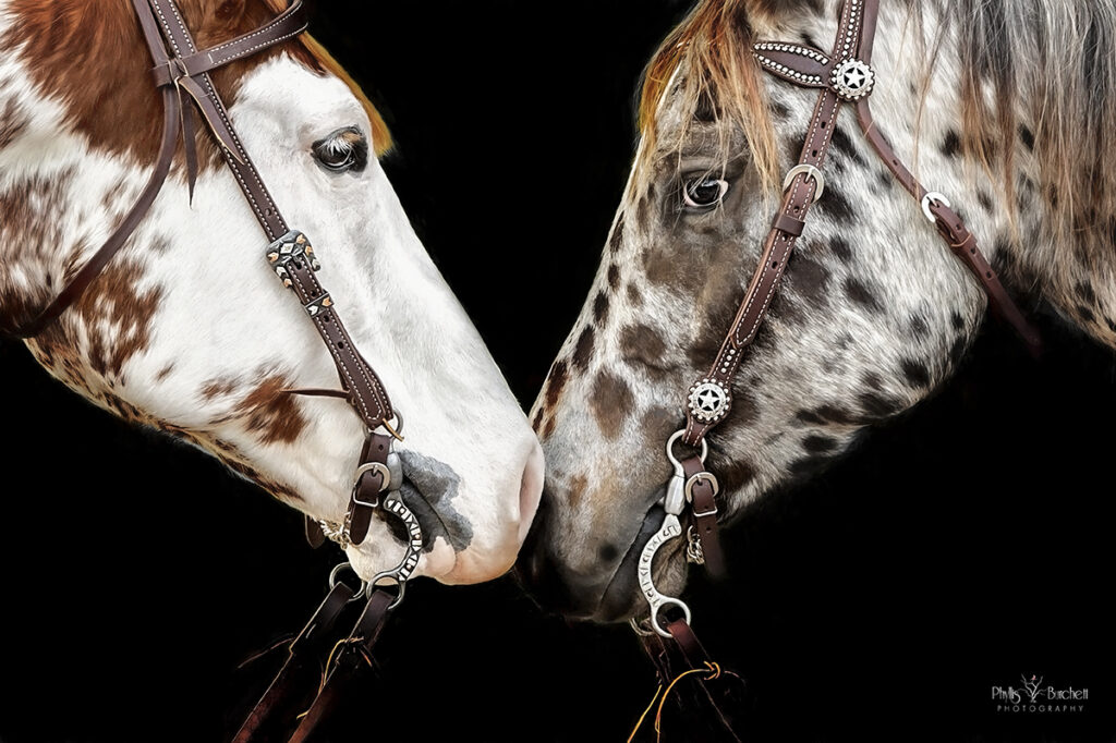 image details touching horses
