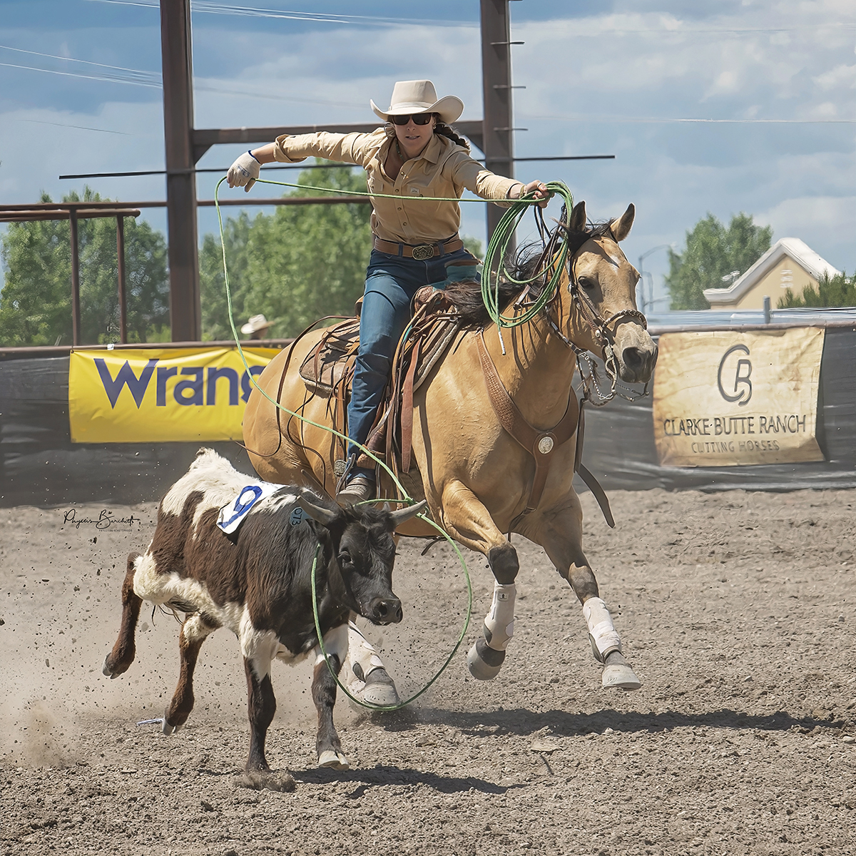 team roping basics