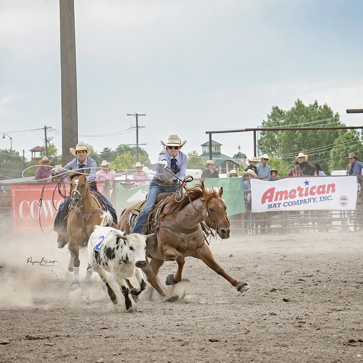 team roping basics