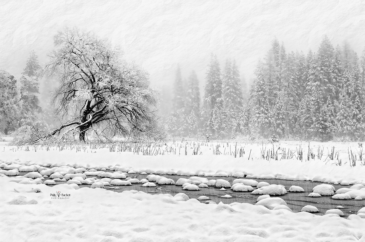 black and white snow photography