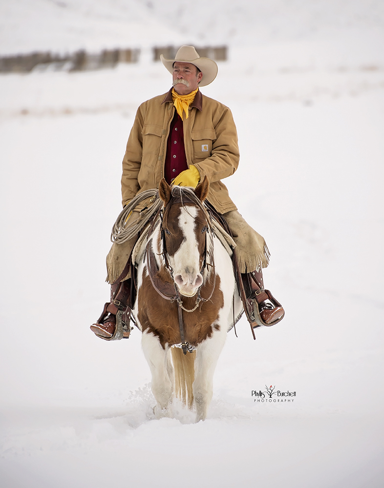 riding horse in snow photography