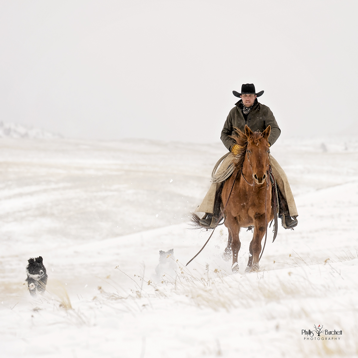 winter scene equine photography