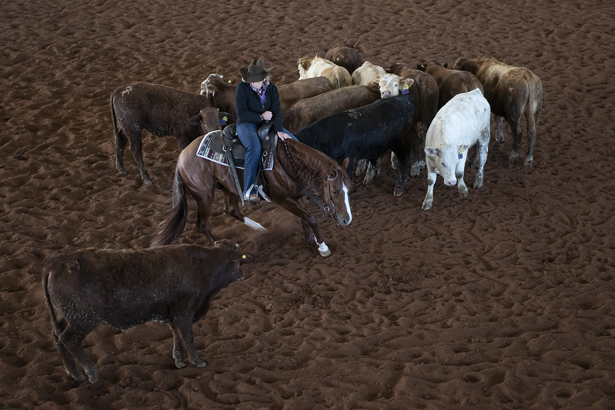 lindy burch art of the cowgirl 2022