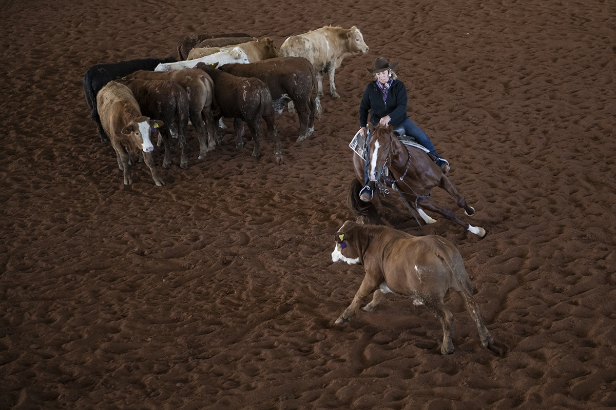 lindy burch art of the cowgirl