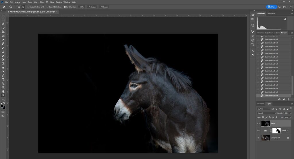 black background portrait 