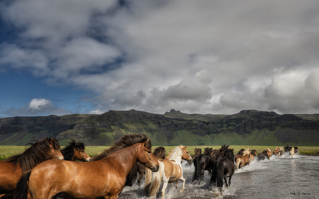 2024 Iceland Equine Photo Tour, June 16-22 *FULL