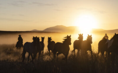 The Cottonwood Experience by Cowgirls with Cameras