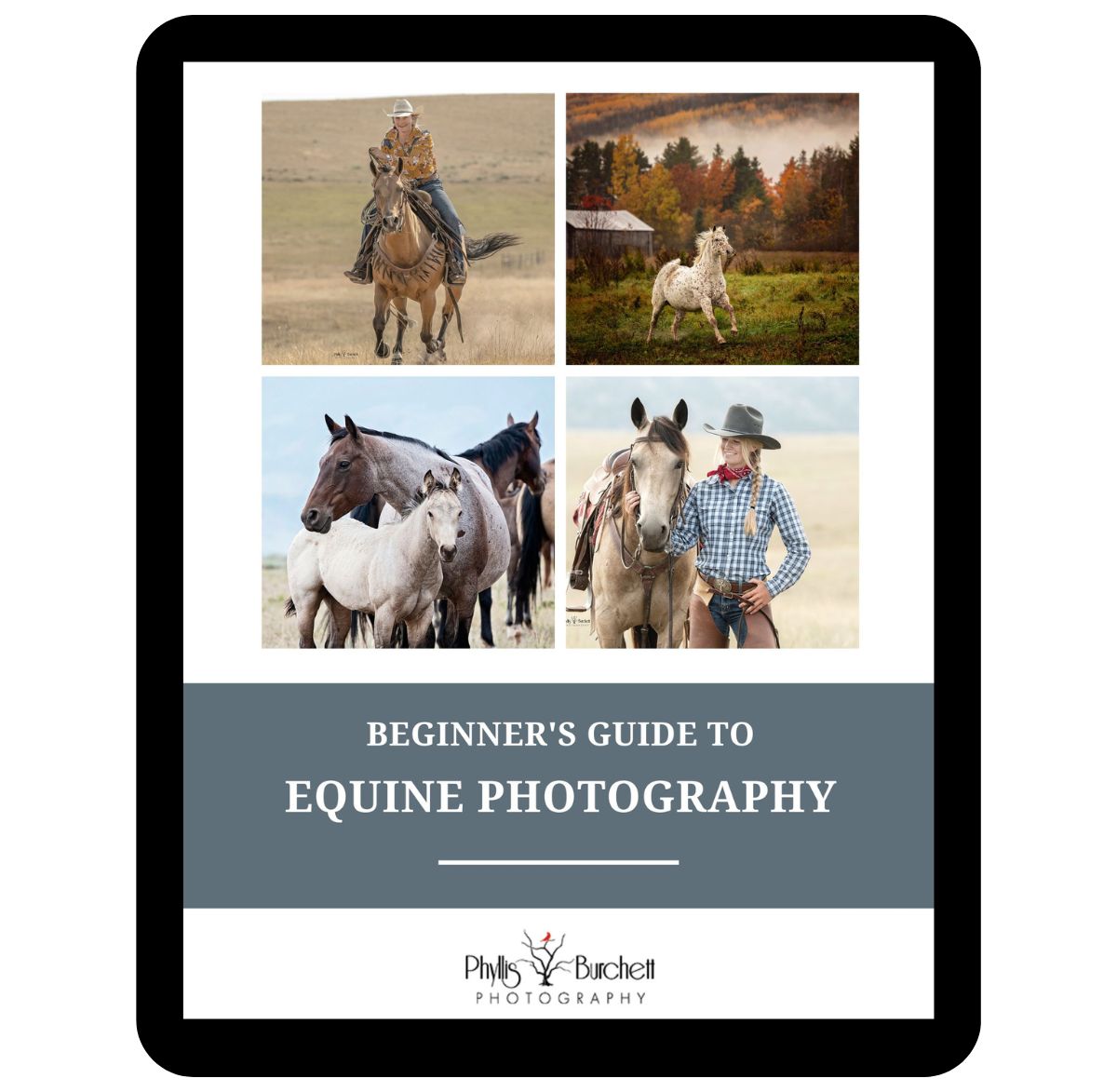 equine photography guide