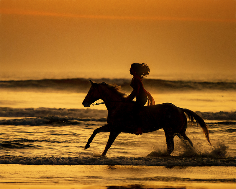 Horses on the Beach Art