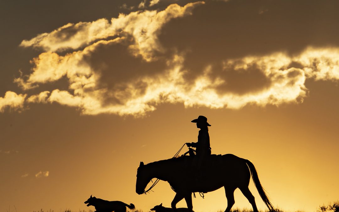 2026 Summer Camp with The Cowboy Creative July 2-6