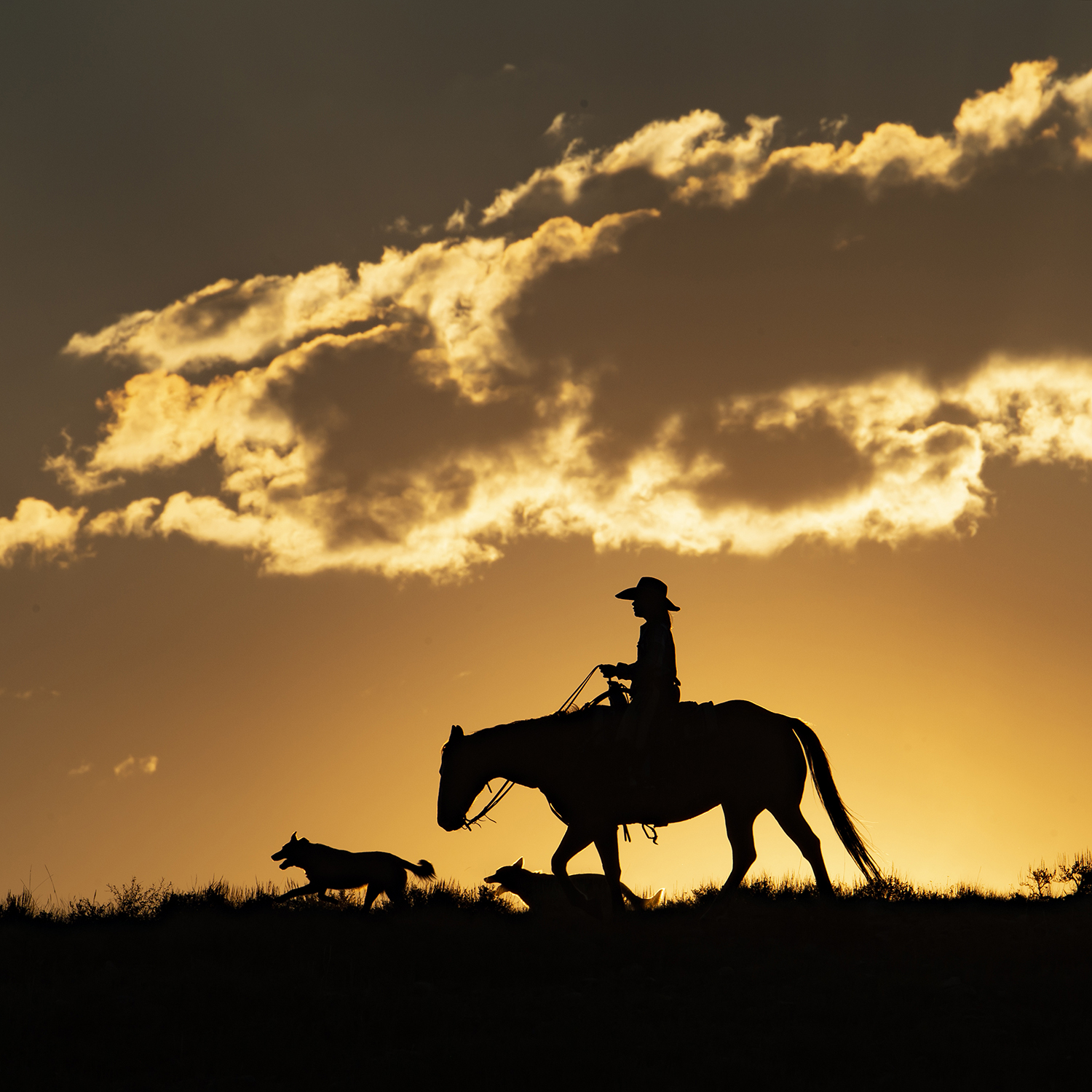 Silhouette of a cowboy on horseback at sunset with dramatic clouds.