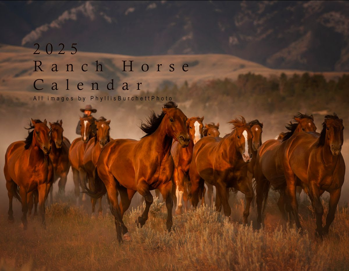 ranch horse calendar