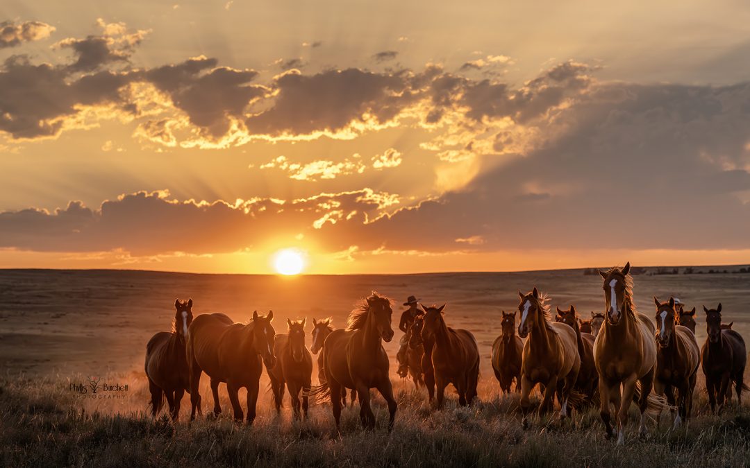 Dryhead Ranch, a Photographer’s Playground