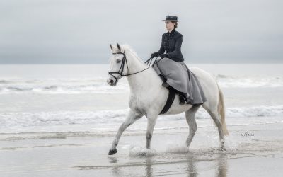 2025 St Augustine Horses on the Beach Gathering