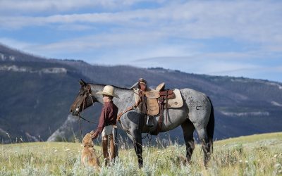 How to fix blown out skies in Equine Photography