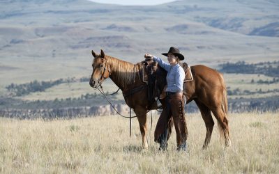 Keeping Your Files Safe While Traveling for Equine Photographers