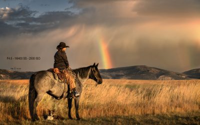 How to Avoid Noise in Your Images (Without Destroying the Details)