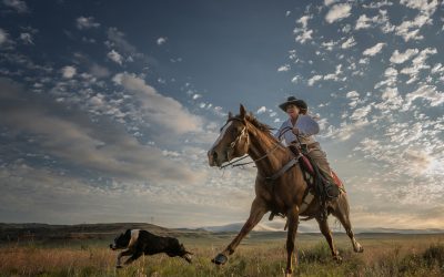 Why Focal Length Matters in Sky Photography