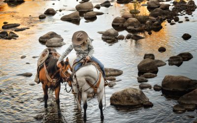 Simple ways to grow as a Photographer