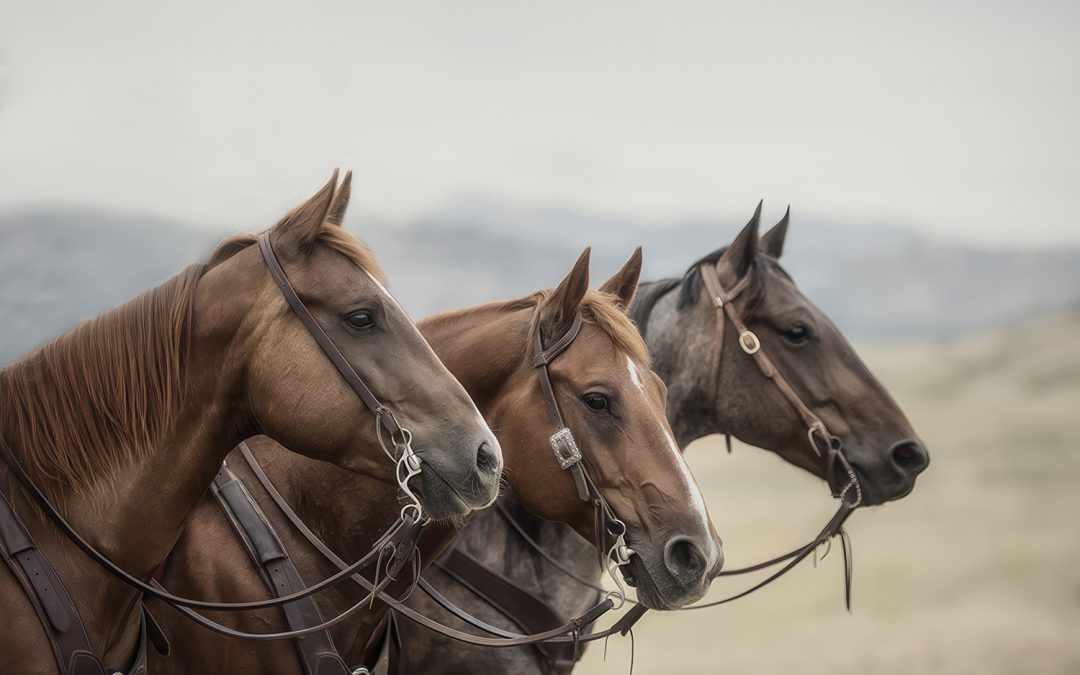Learning to Trust Your Eye