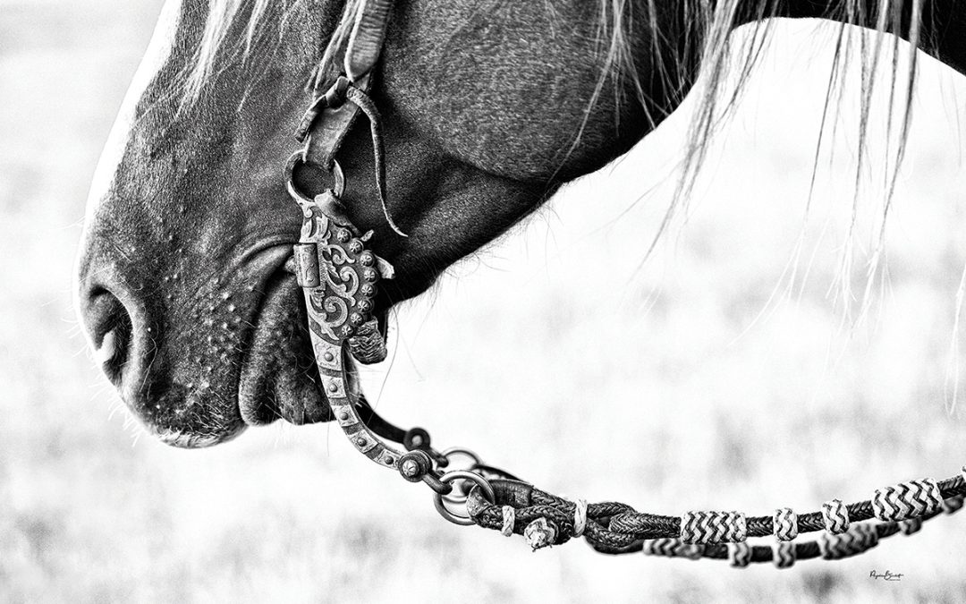 Creating Beautiful High-Key Images