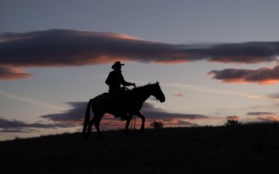 Montana Magic: Our Unforgettable Stay at Circle Bar Guest Ranch