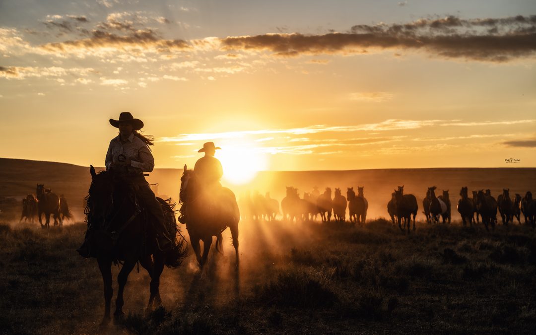 Dryhead Ranch Photography Retreat 2026
