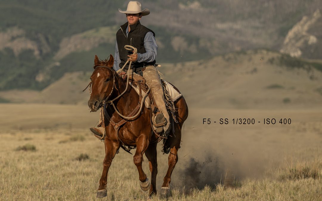 Shutter Speed: Choosing the Right Setting for Every Shot in Equine Photography