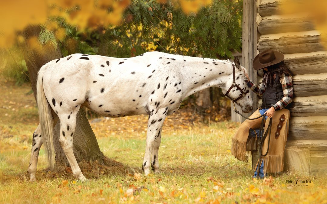 Equine Photography: More Than a Pretty Picture