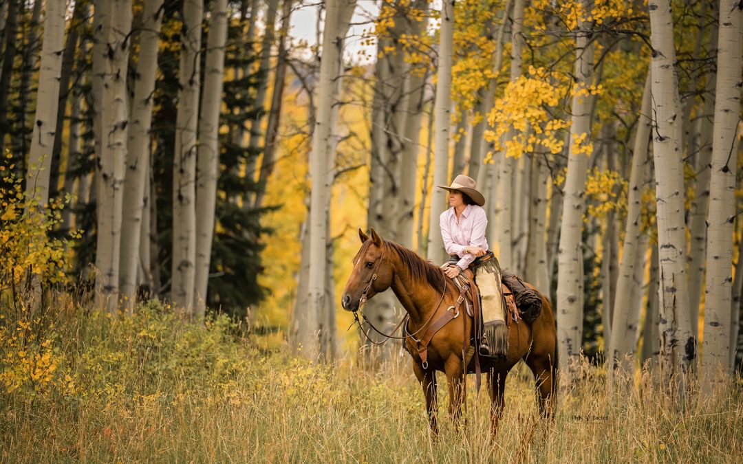 Colorado Fall Equine Photography Adventure