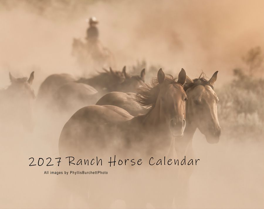 ranch horse 2027 calendar